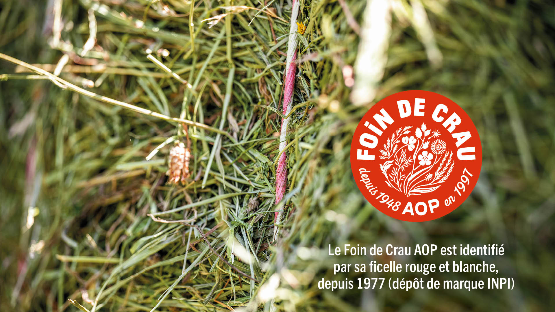 Foin de Crau AOC : 1kg