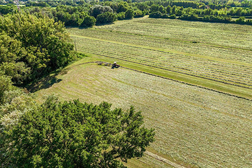 image-prairie-foin-de-crau